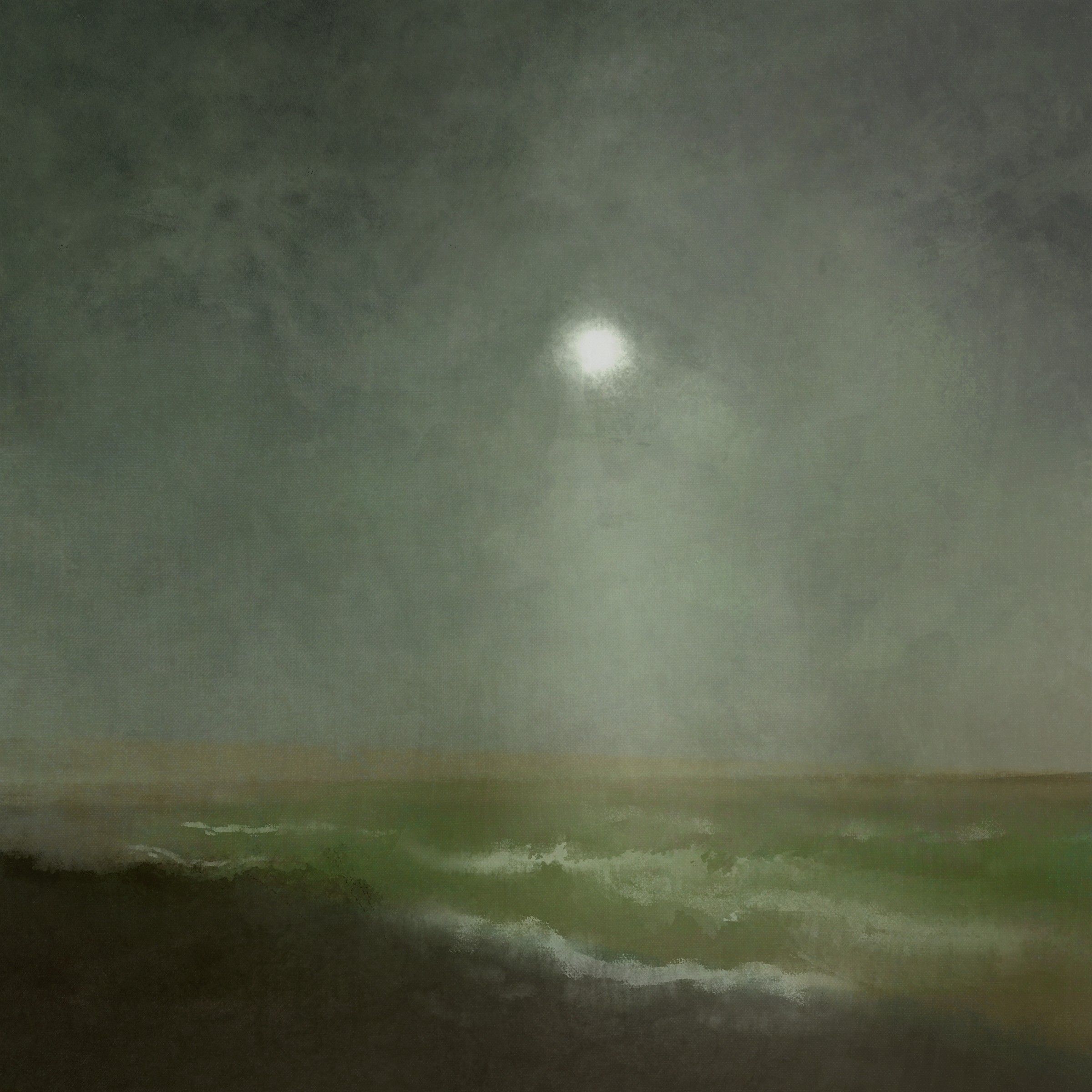 Moonlit Solitude