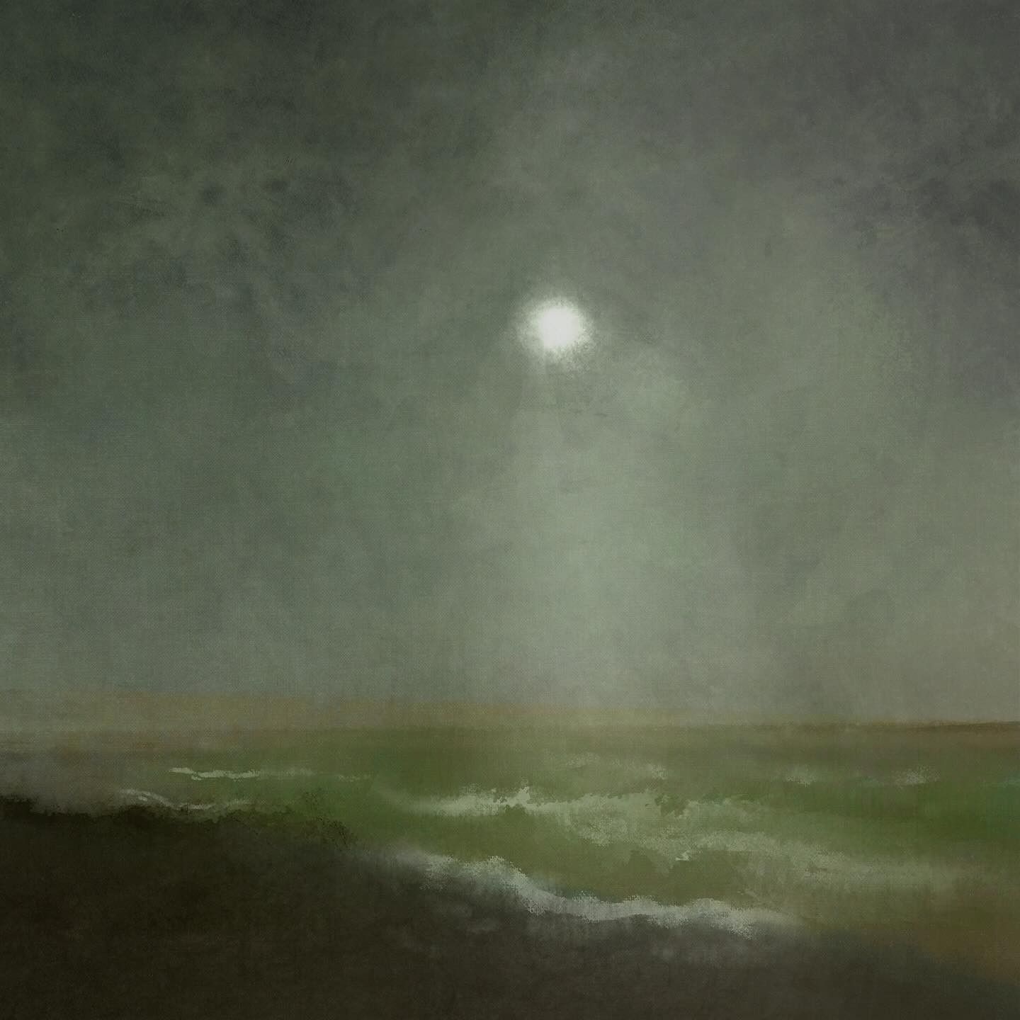 Moonlit Solitude
