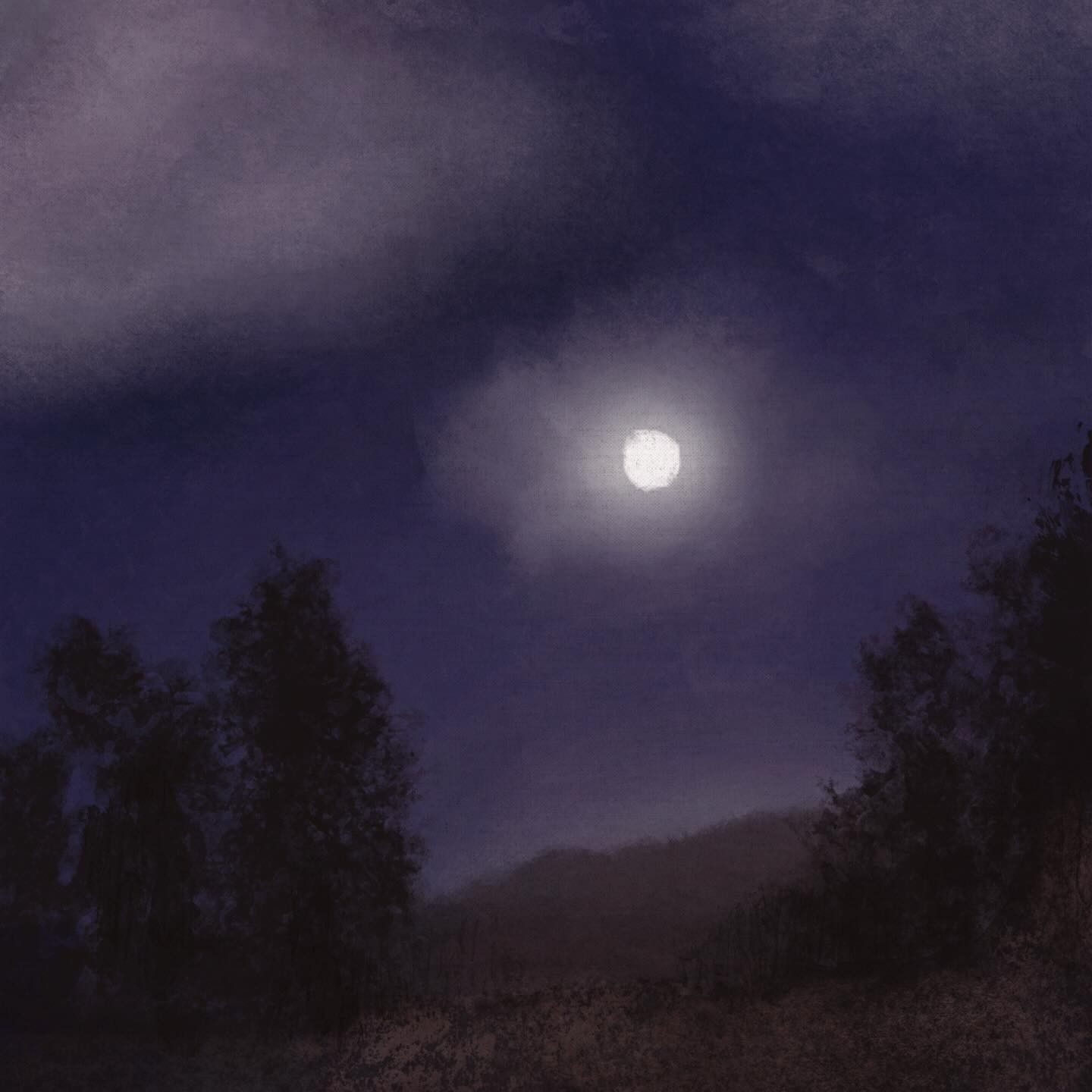 Mystical Moonlight