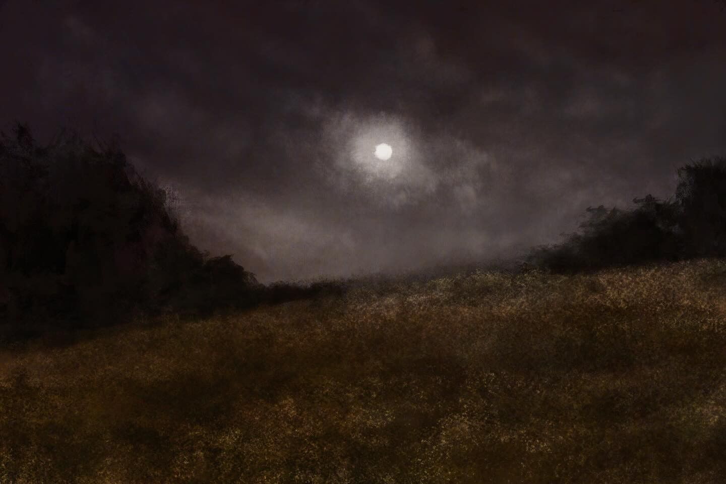 Nocturnal Dream