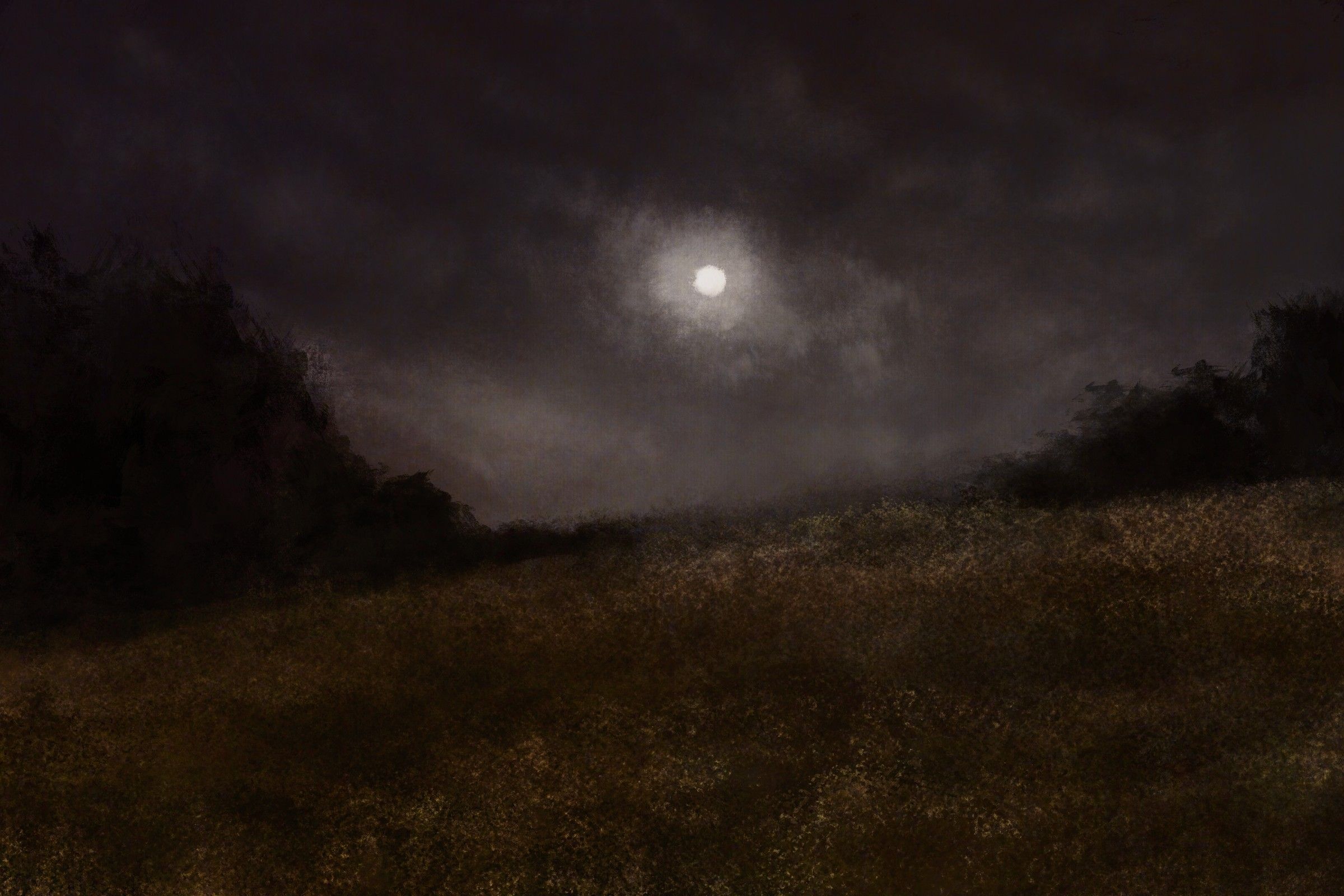 Nocturnal Dream