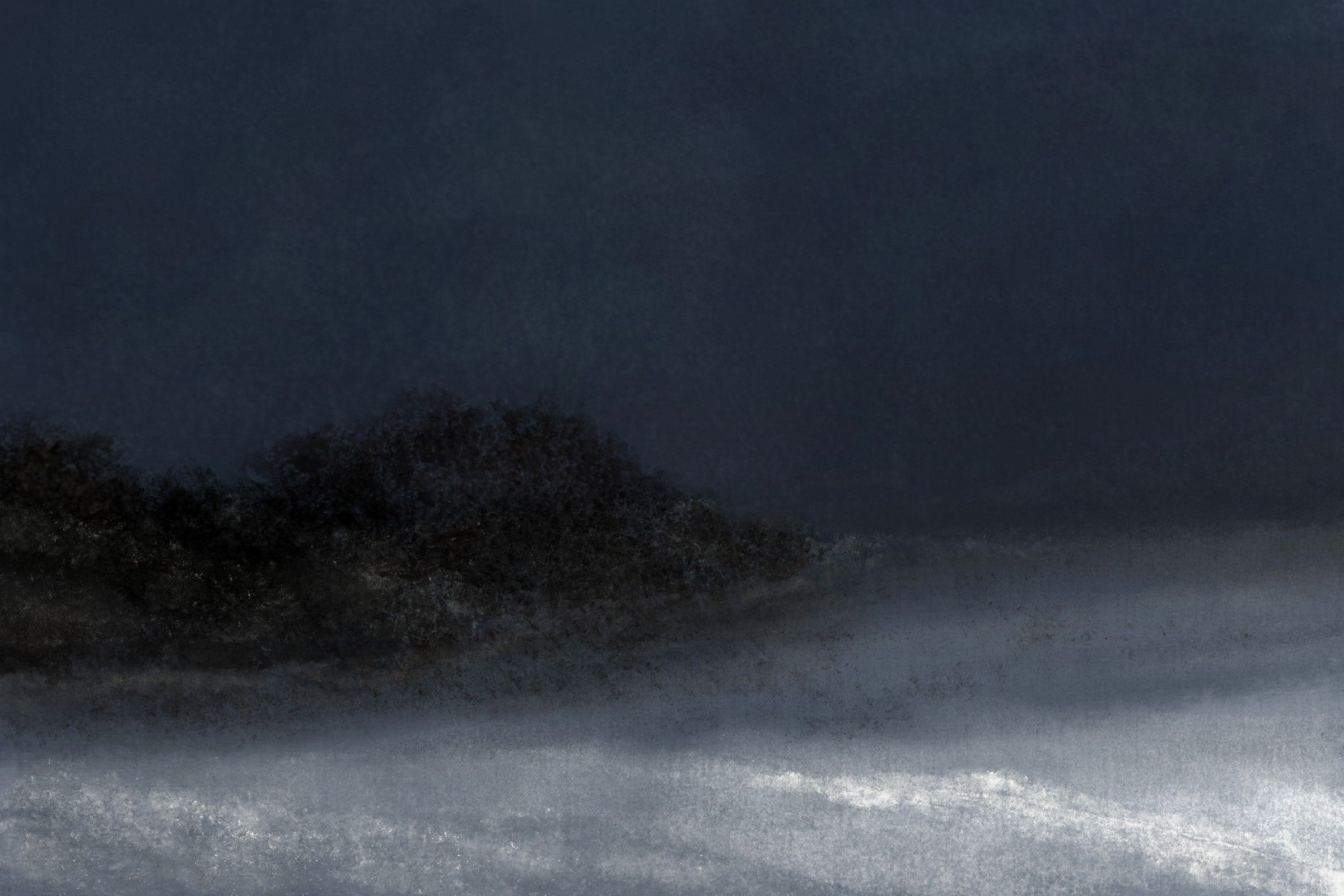 Wintry Woods